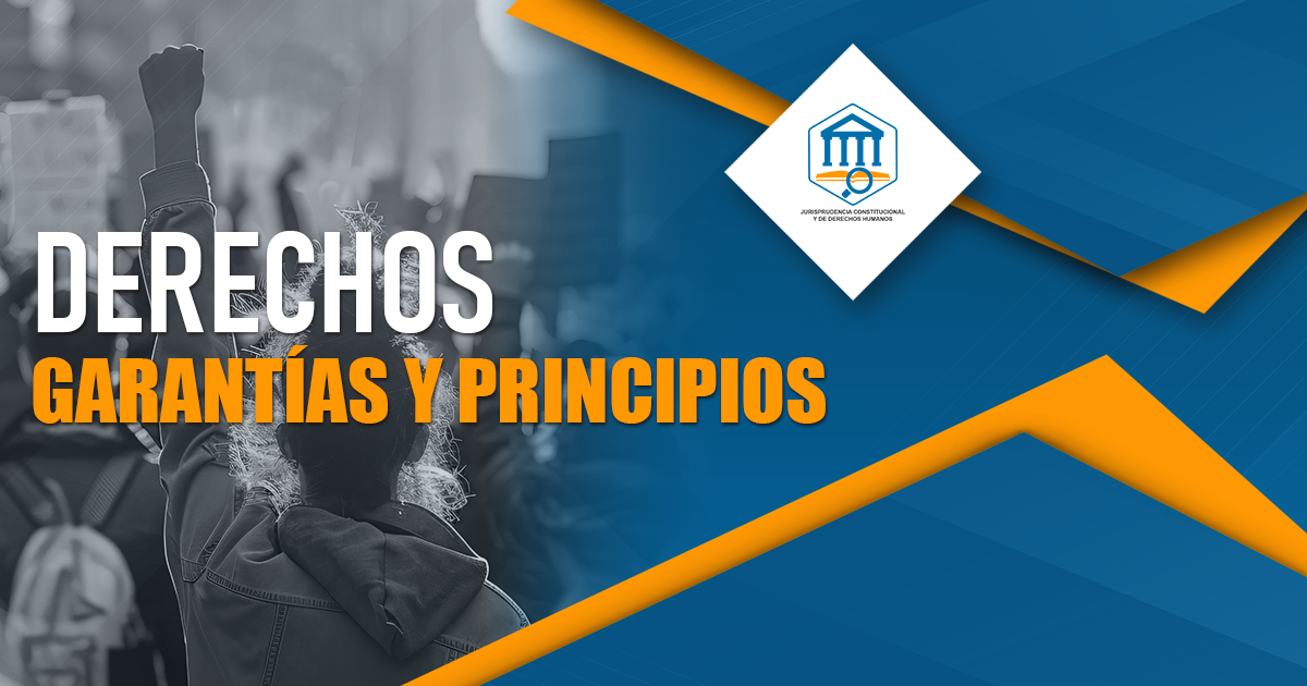DERECHOS, GARANTÍAS Y PRINCIPIOS