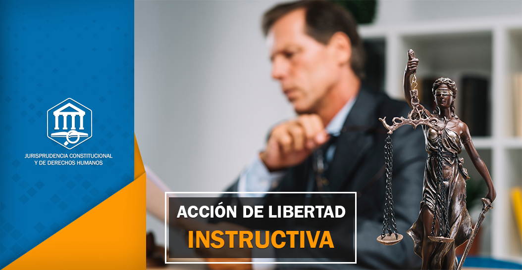 ACCIÓN DE LIBERTAD INSTRUCTIVA