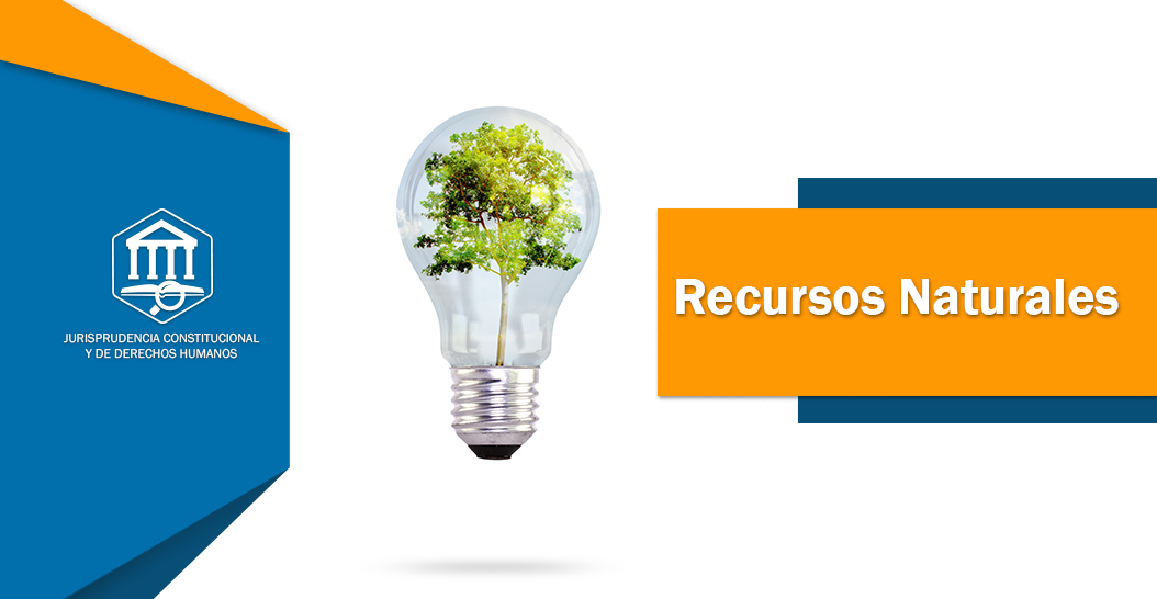 RECURSOS NATURALES